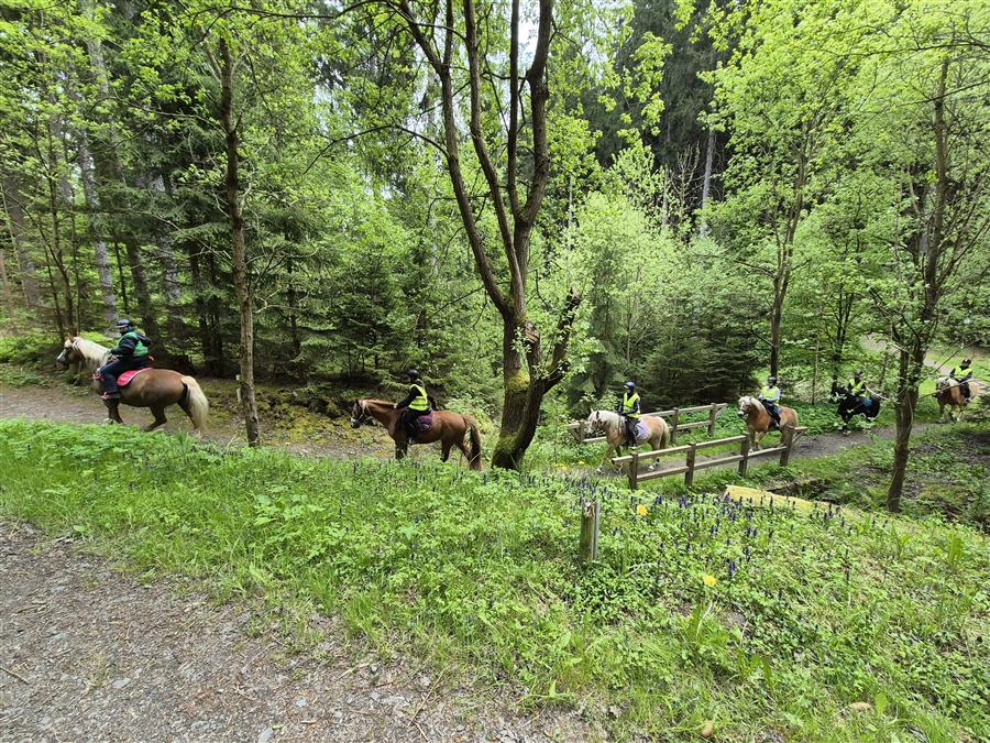 Ausreiten