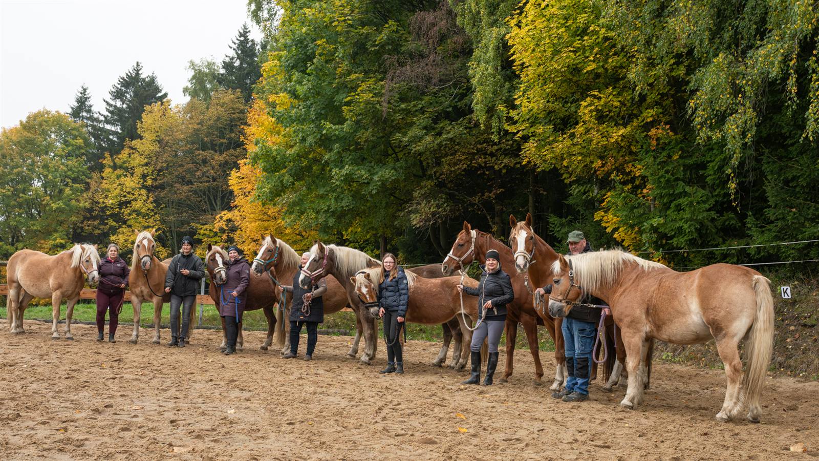 Team und Pferde der Ponyschule Am Blauen Stein