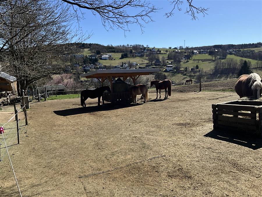 Hofgelände mit Pferden und Erzgebirge-Panorama