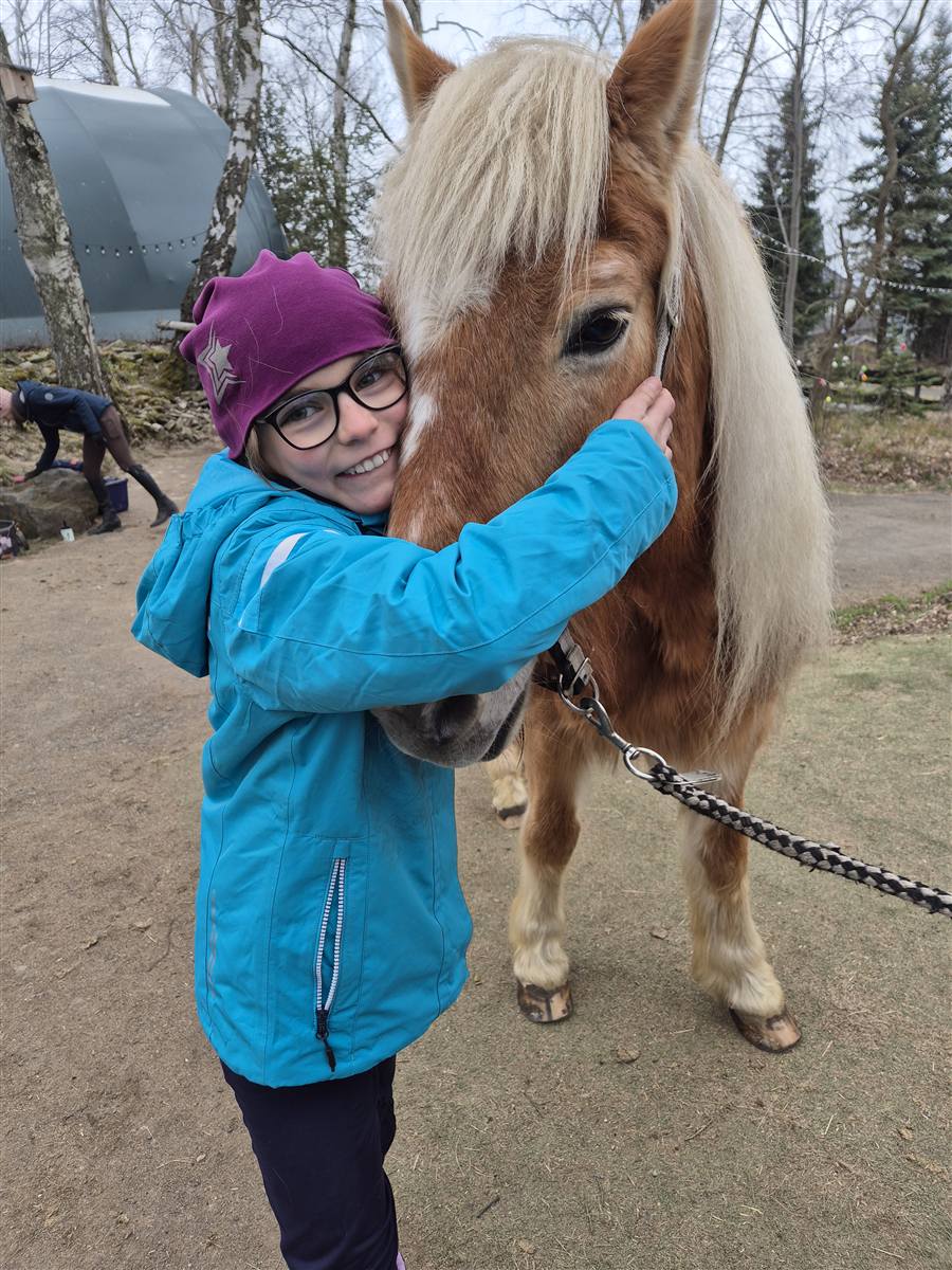 Mädchen mit Haflinger