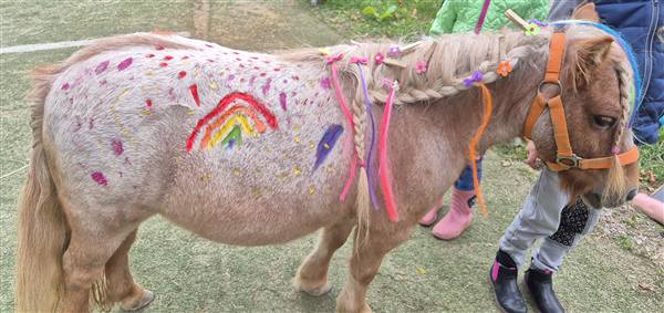Bemaltes Pony
