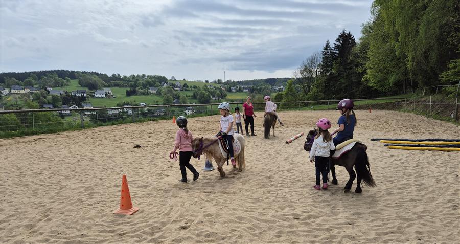 Ponyschule