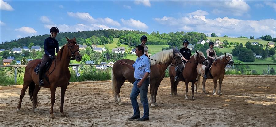 Ponyschule