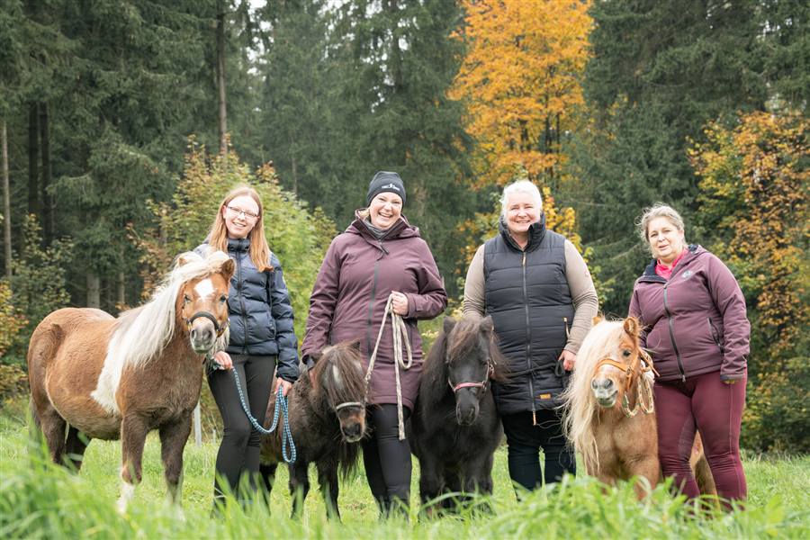 Team mit Ponys