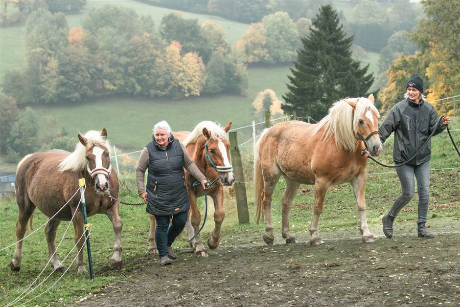 Diakonie-Spaziergang